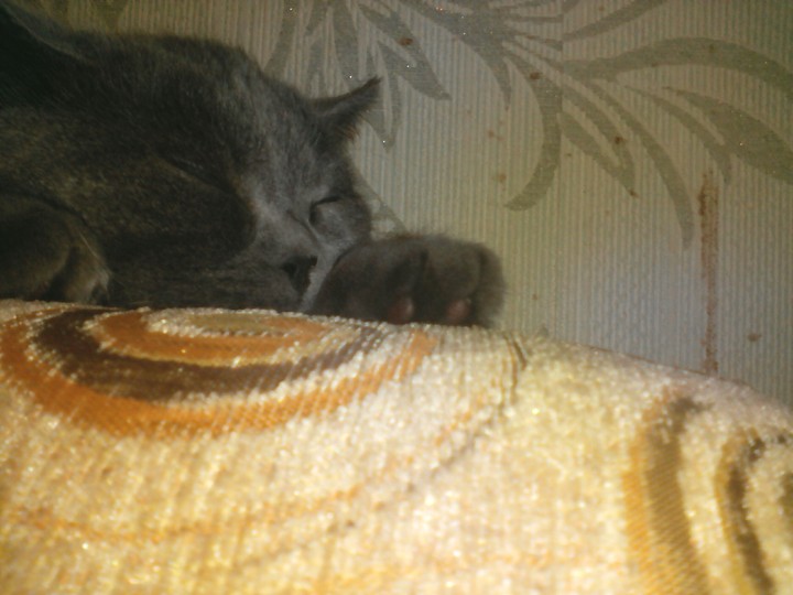 sleep