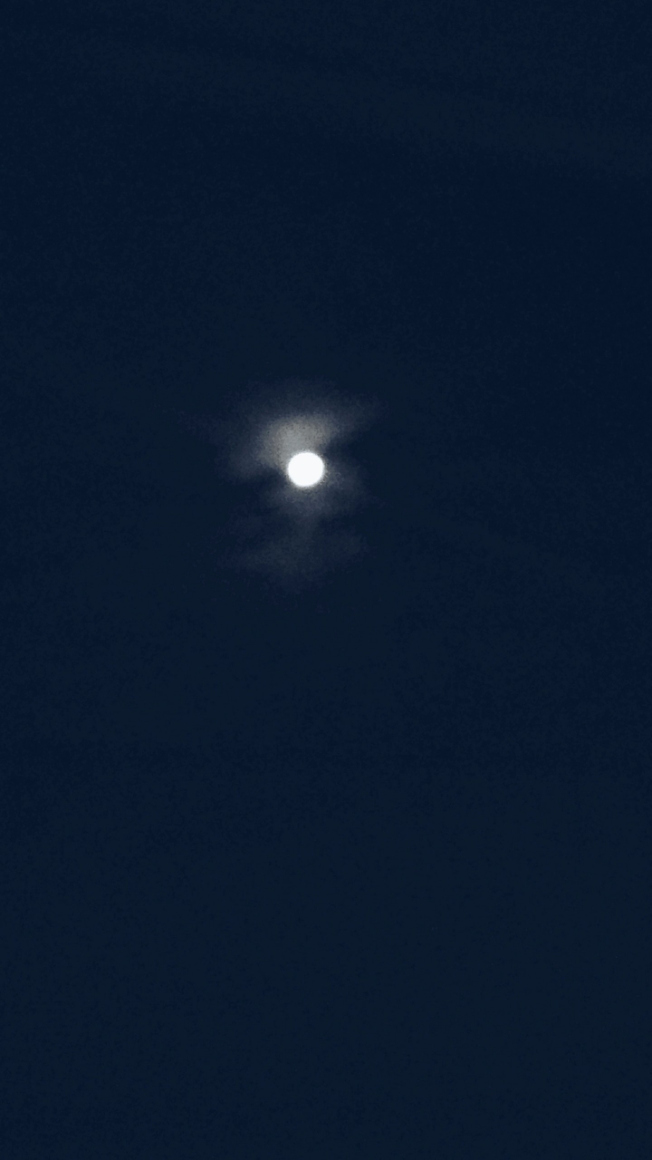 lovely night