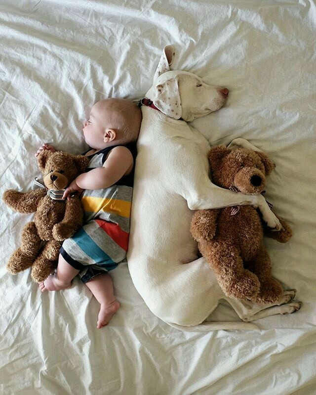 family ✅