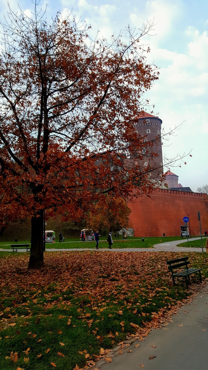 Wawel castle