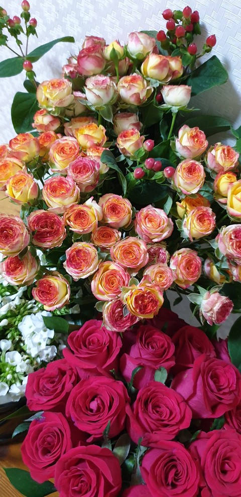 רקעים pink, petal
