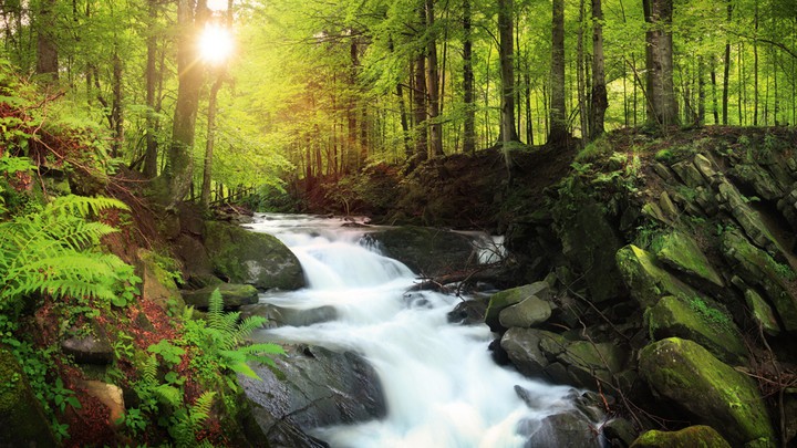 Nature