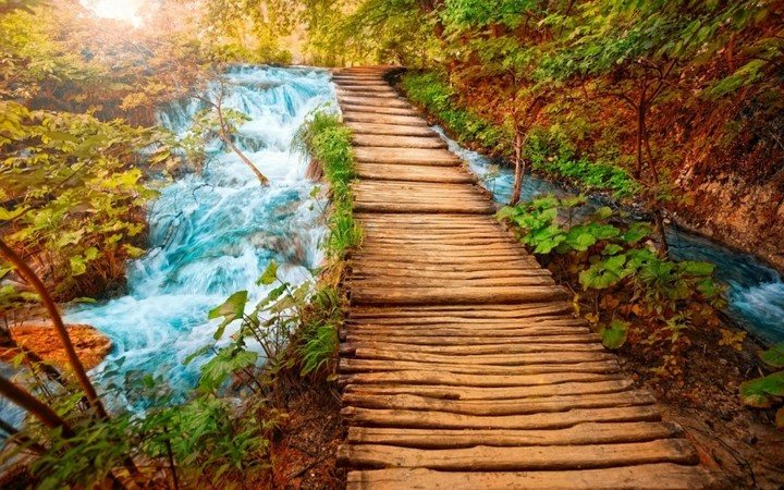 beautiful nature