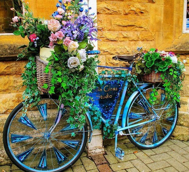 bike and flowers.