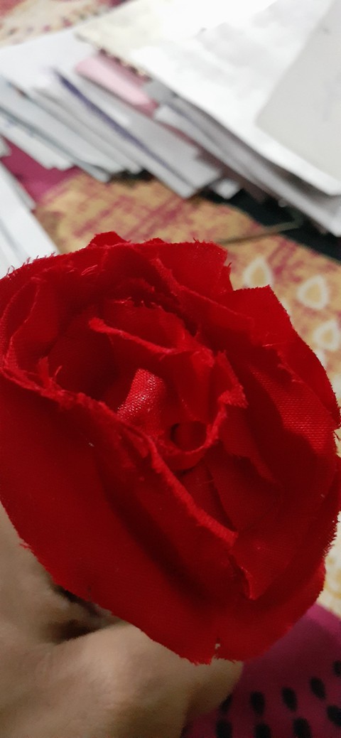 rose