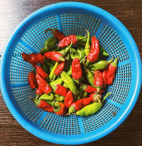 Chili