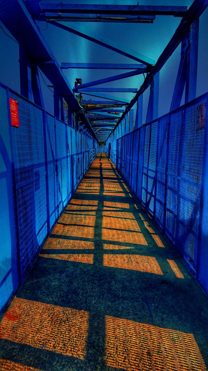 different View
