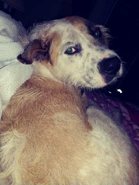 In bed with Wally