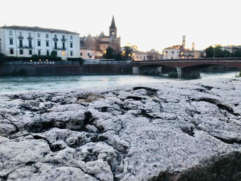 Verona
