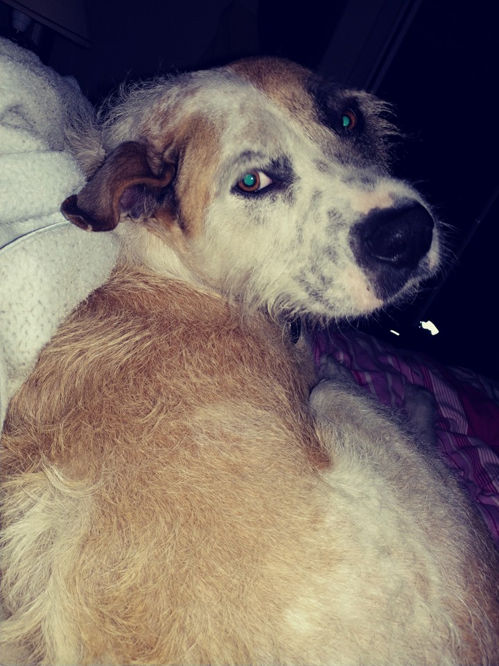 In bed with Wally 