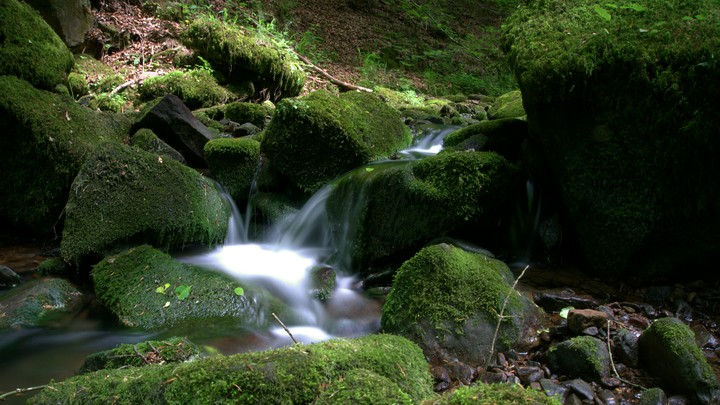Blackforest Waterfall