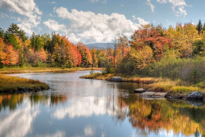 autumn