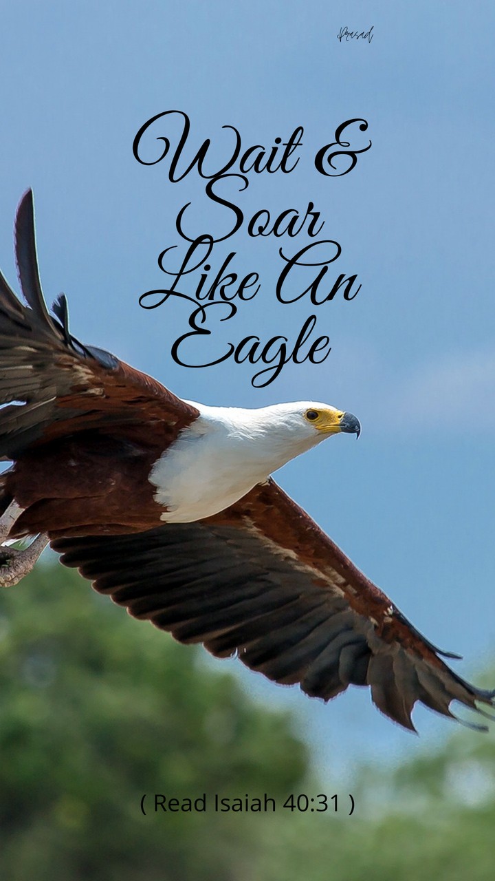 Wait & Soar