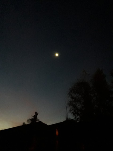 Noche