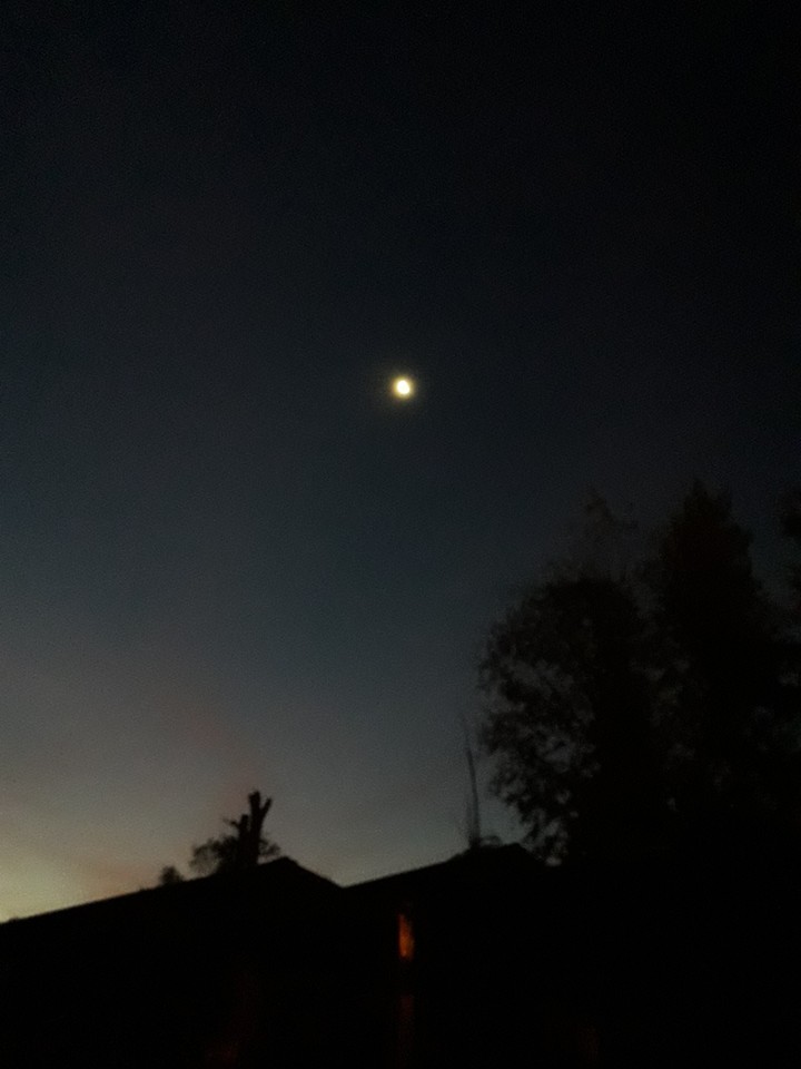 Noche