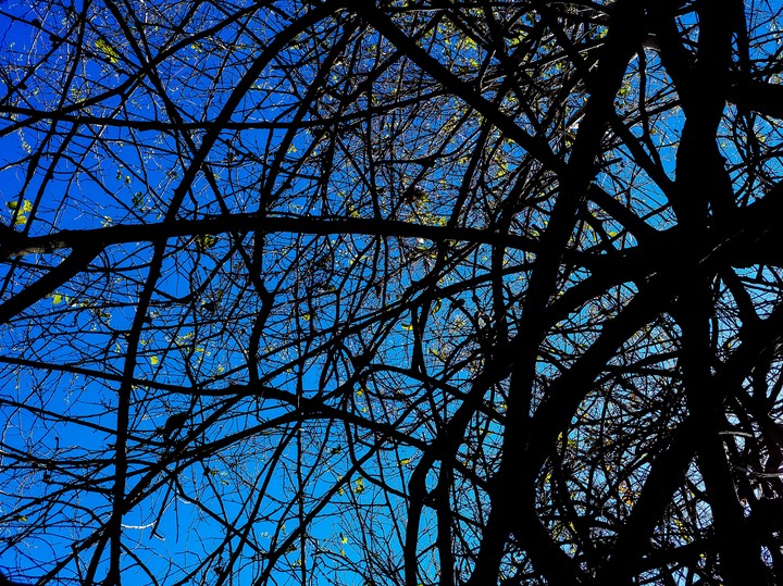 Natureza