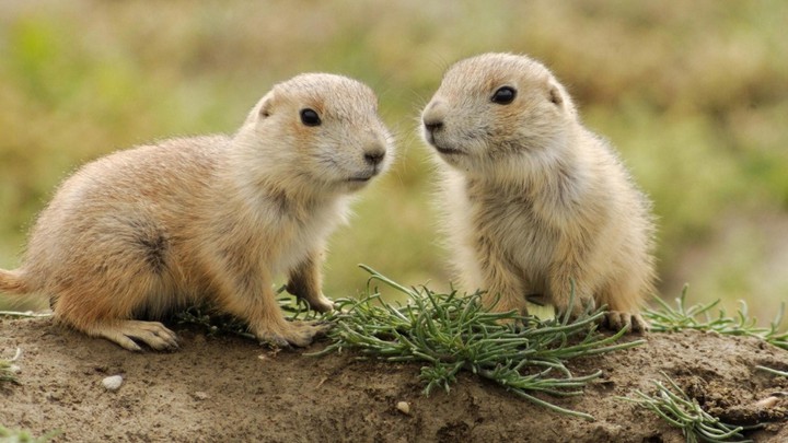 cute!