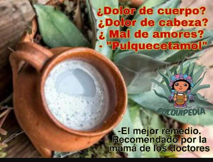 caldo de oso