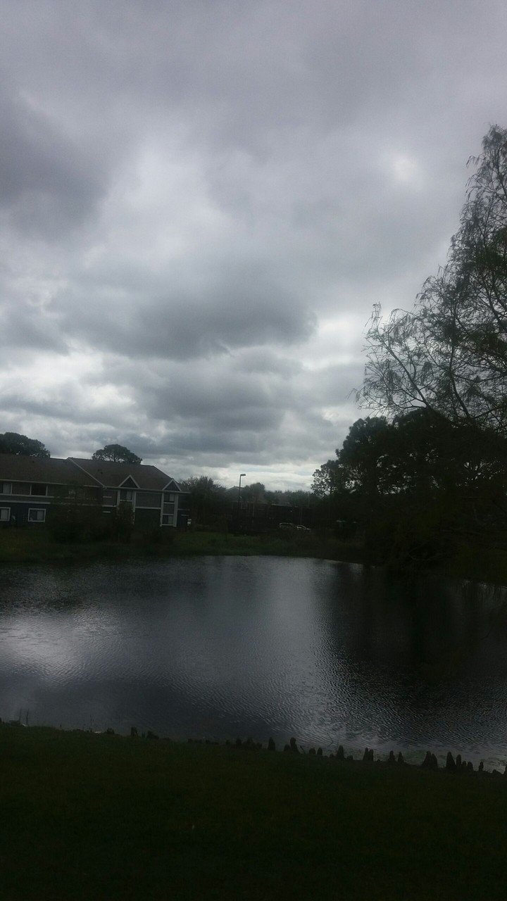 , cloudy day