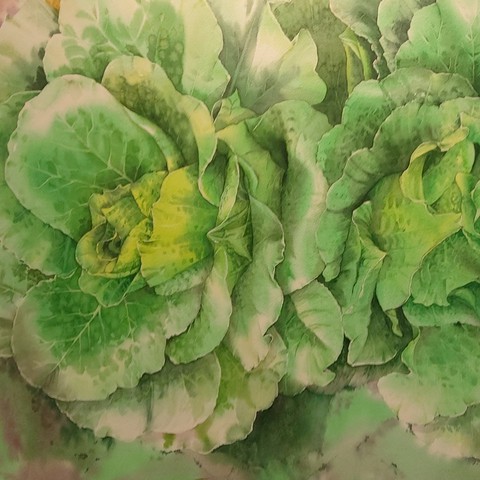 배추그림