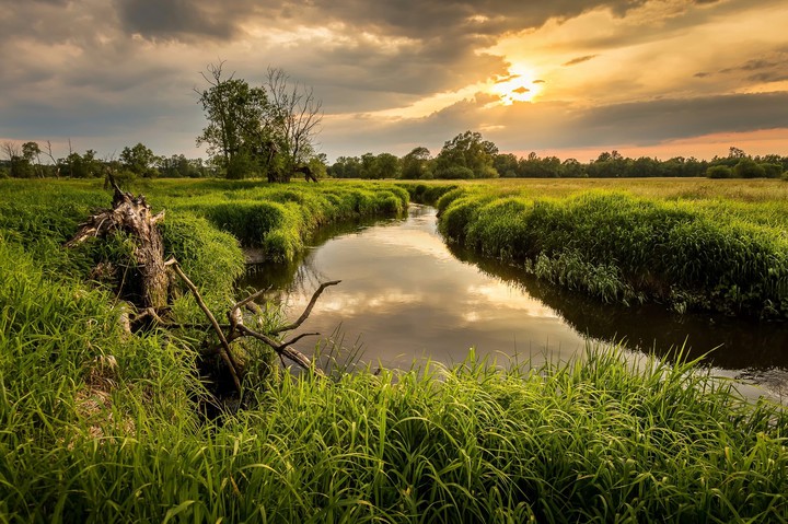 River banks