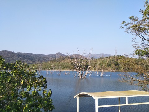 Natural Nature