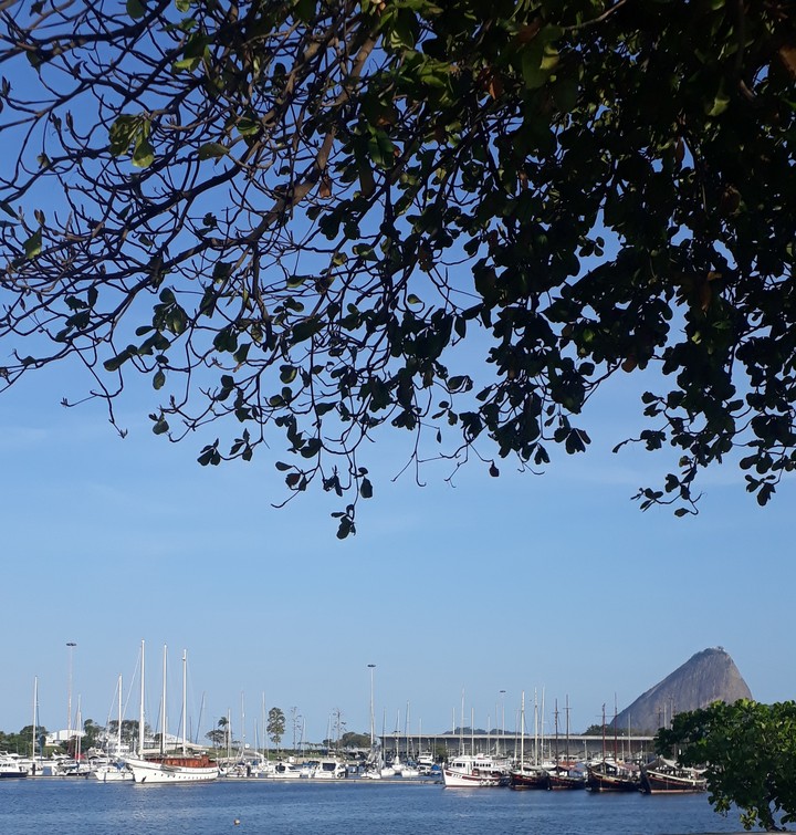 Marina da Glória