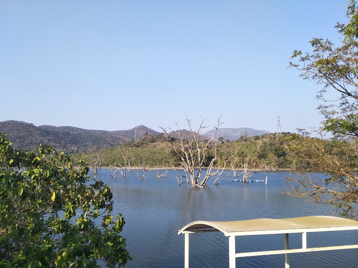 Natural Nature