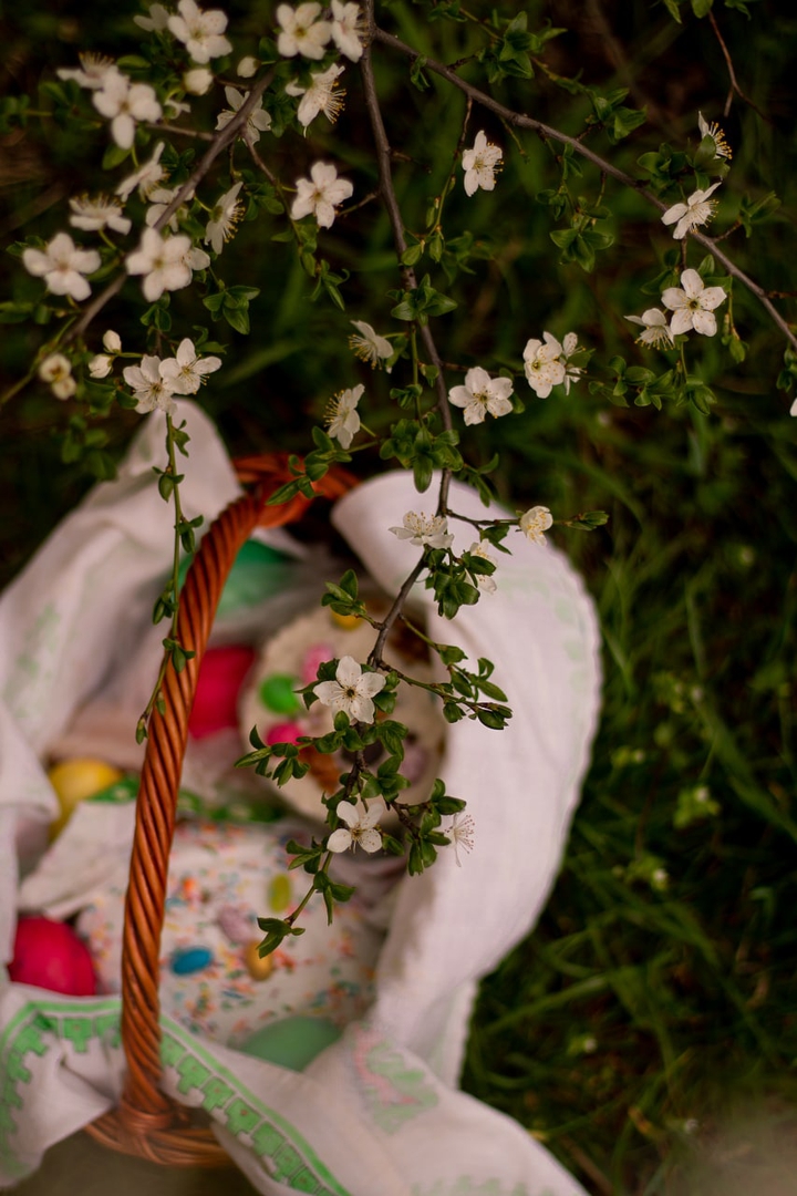 spring
