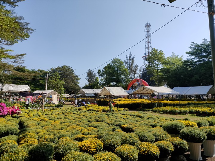 Flower Market