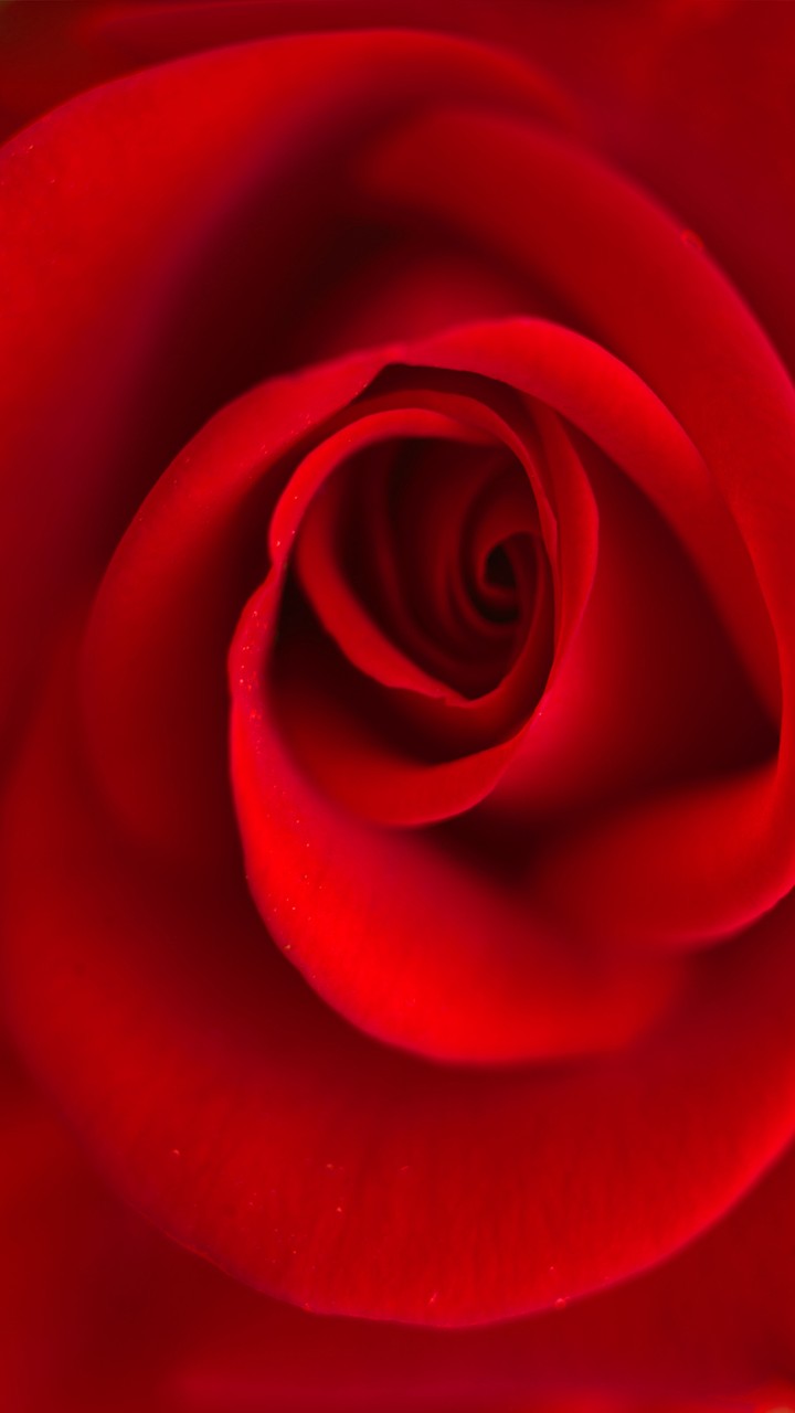 Red itself