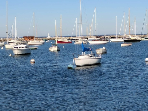 Martha's vineyard