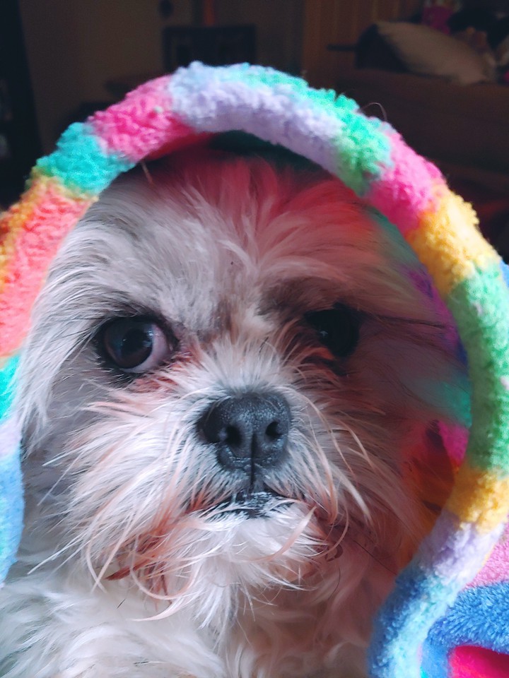 my cover girl