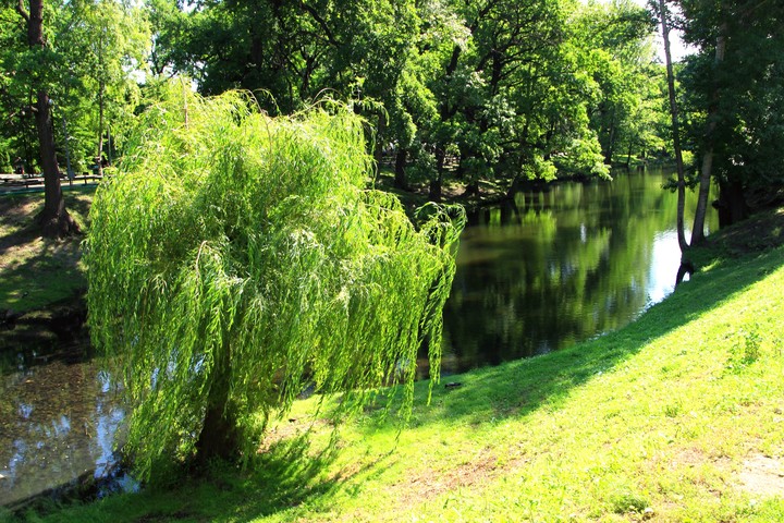Nature