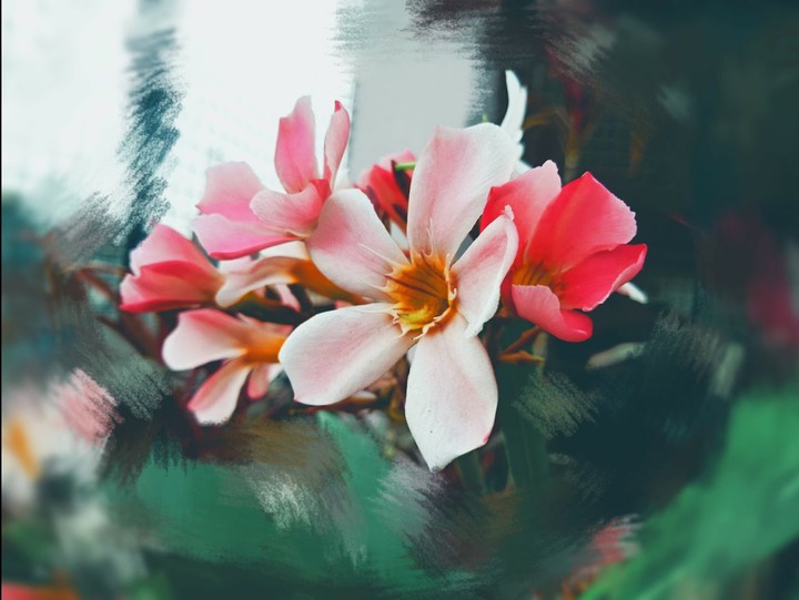 beauty of life