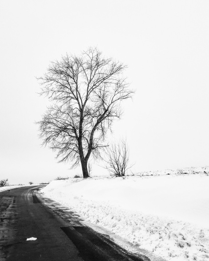#Winter