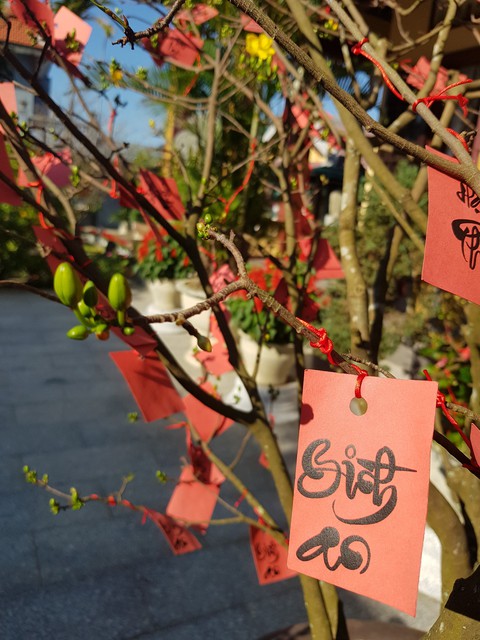 Bình an