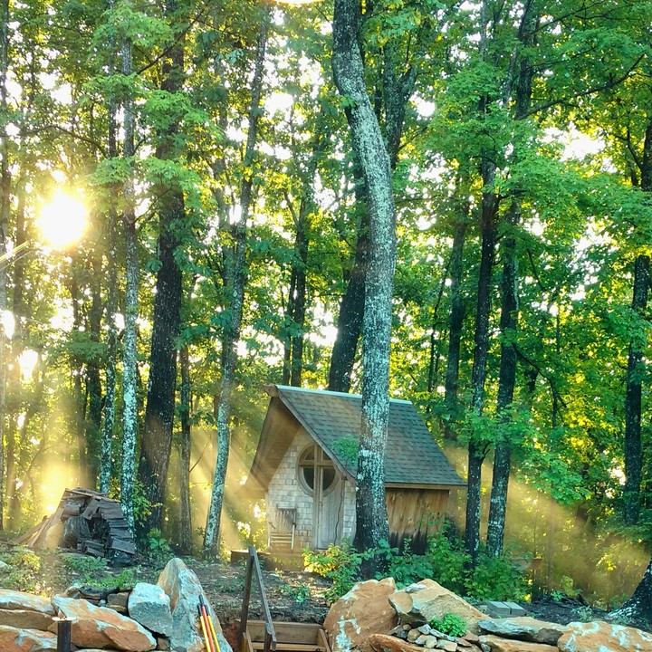 Cabin in the Forest