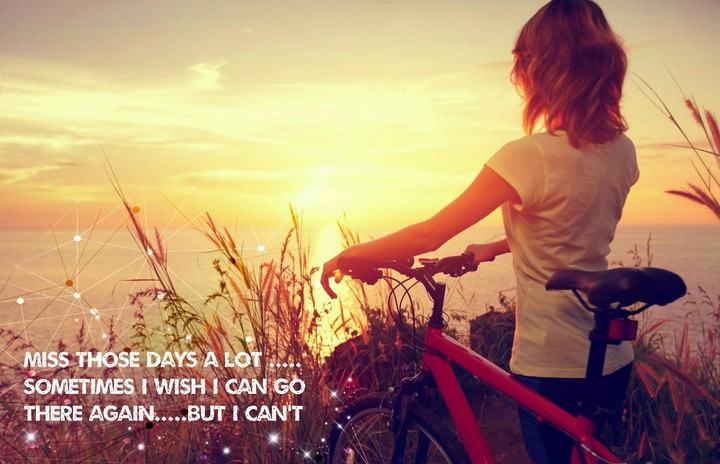 the bicycle memories
