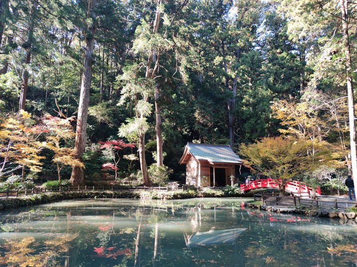 pond