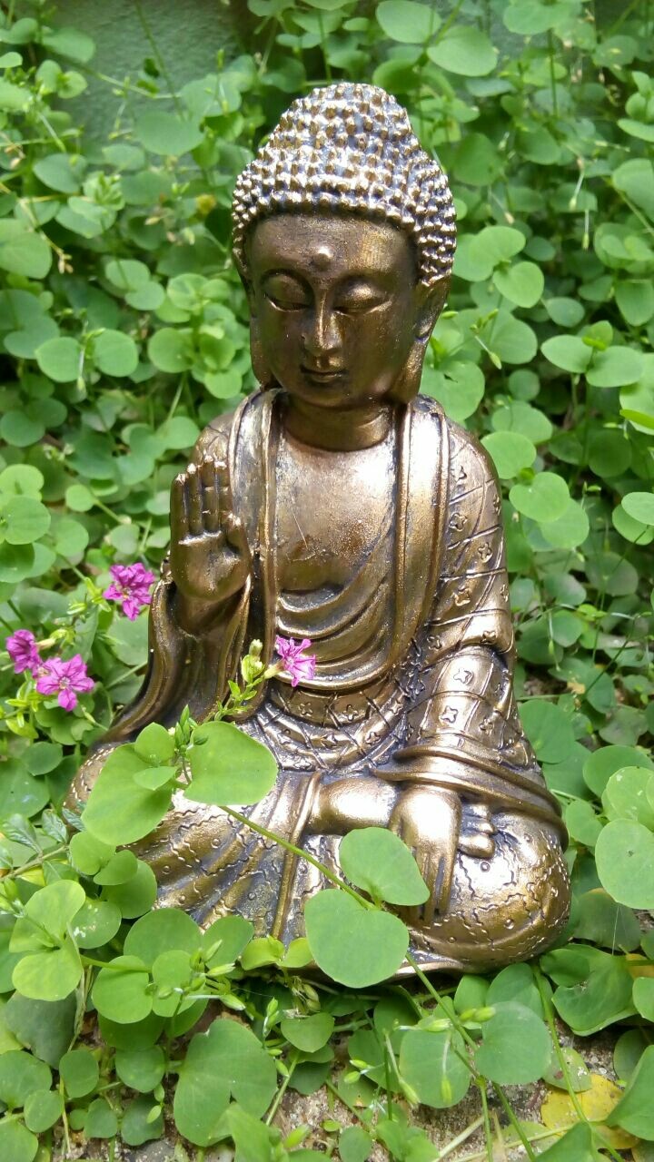paz