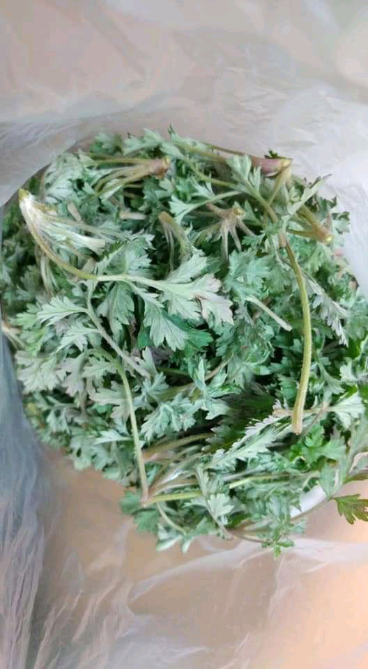 wormwood