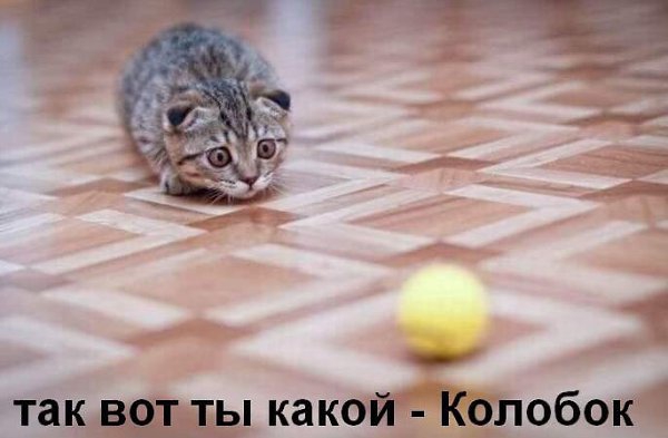 hxjdhdgdgdje