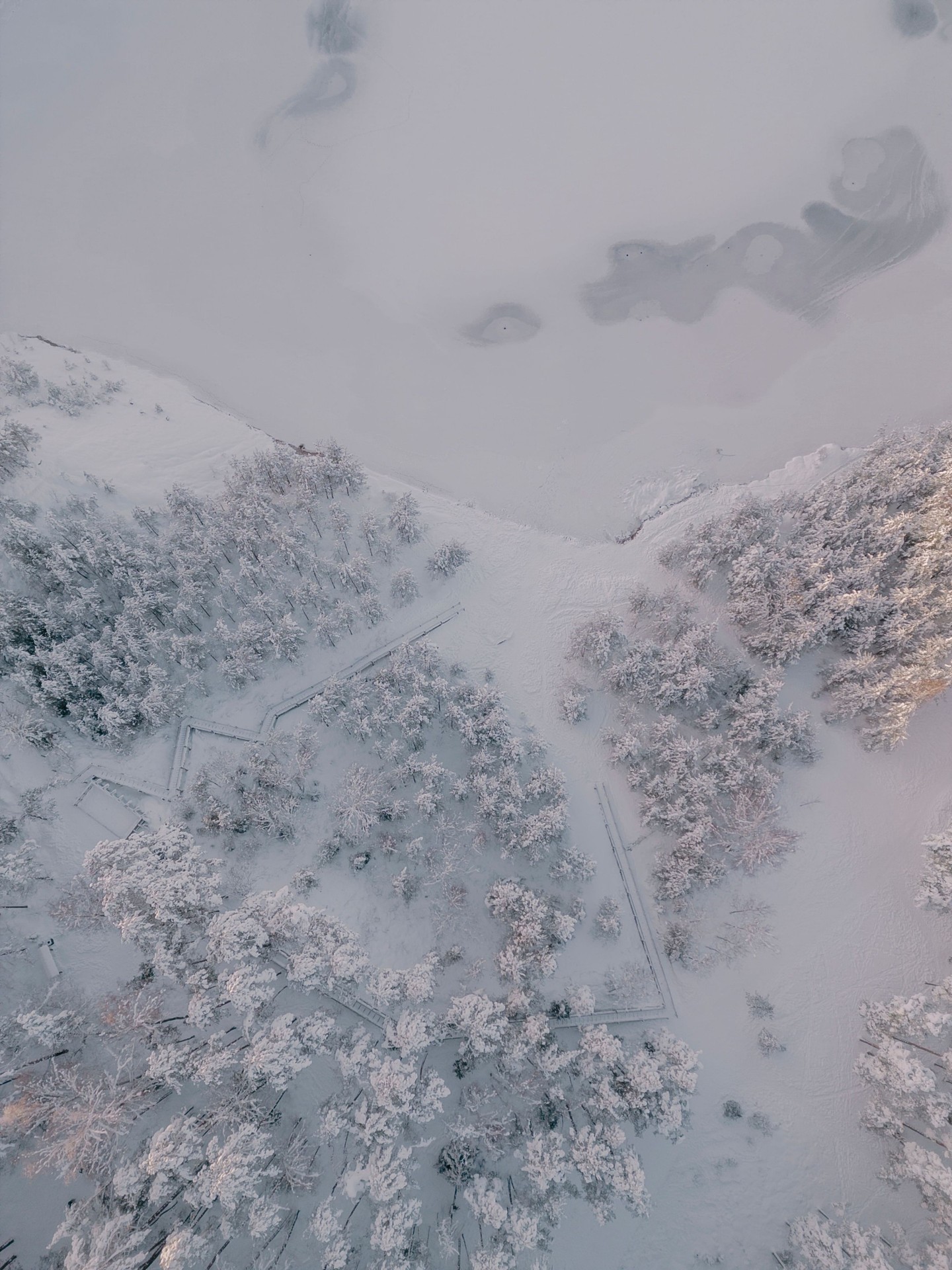 тапети frost, tundra