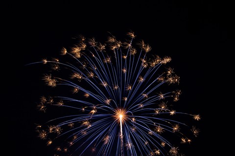Salute Fireworks Holiday