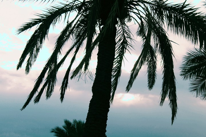 Iraq