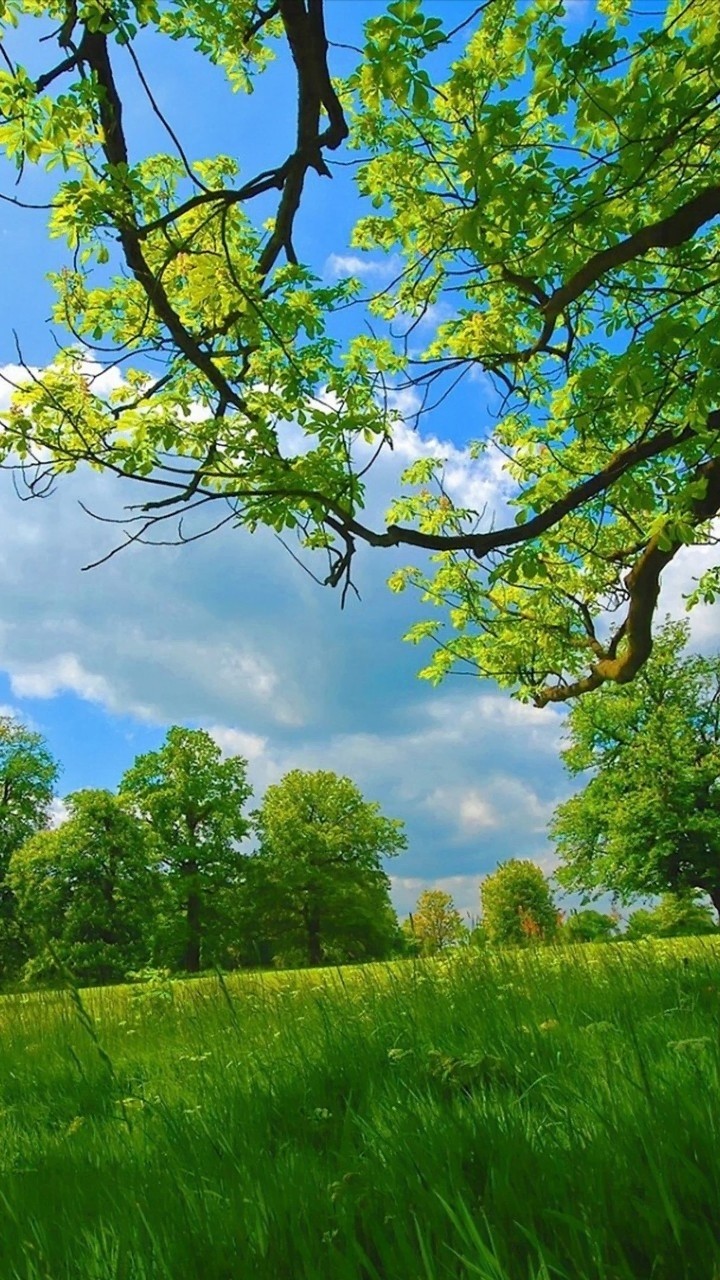 nature
