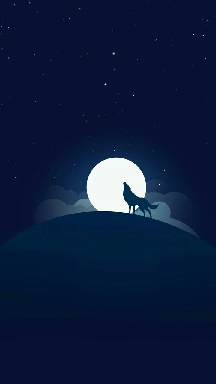 moonlight