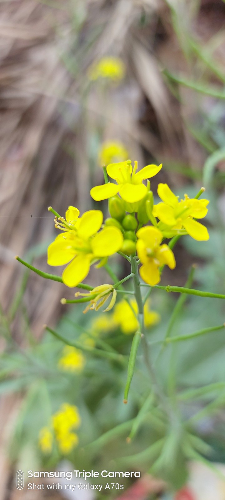 my photography