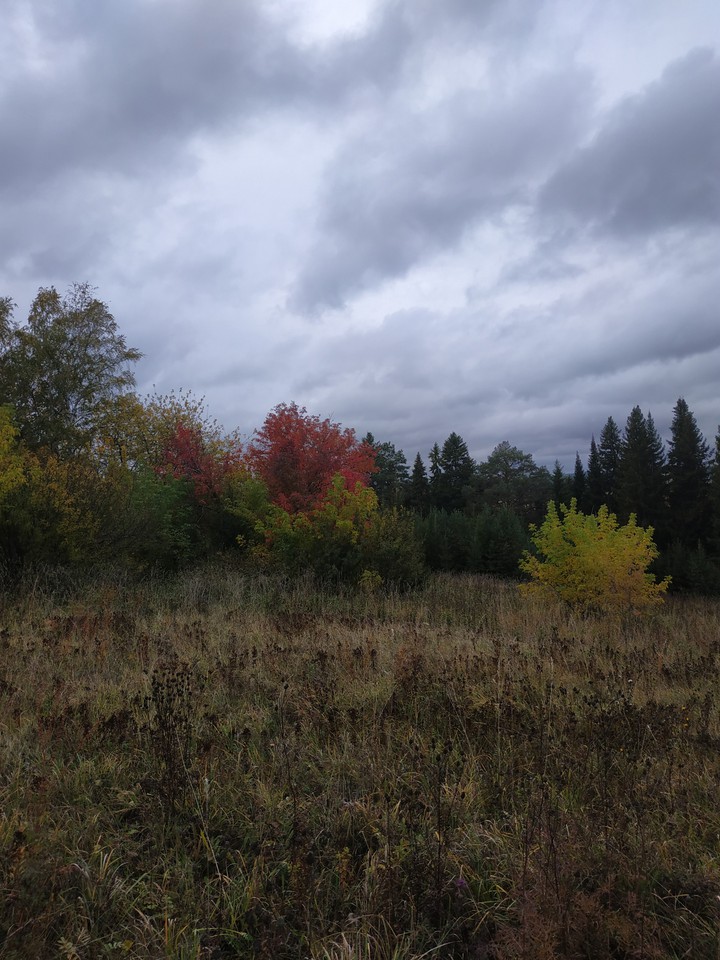 autumn